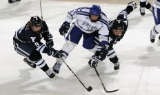 2025-2026阿森纳英足总杯哪里看（阿森纳英超冠军年份）